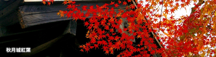紅葉を満喫する 秋月城下町編 5時間コース たびこん福岡